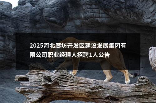 2025河北廊坊开发区建设发展集团有限公司职业经理人招聘1人公告 图片