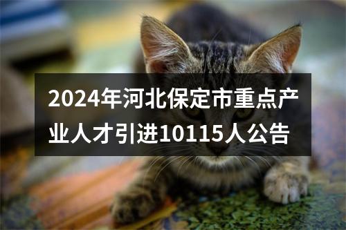 2024年河北保定市重点产业人才引进10115人公告 图片
