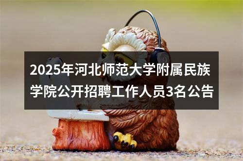 2025年河北师范大学附属民族学院公开招聘工作人员3名公告 图片
