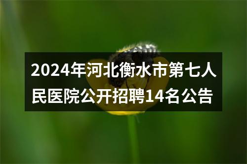 2024年河北衡水市第七人民医院公开招聘14名公告 图片