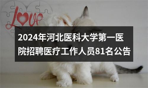 2024年河北医科大学第一医院招聘医疗工作人员81名公告 图片