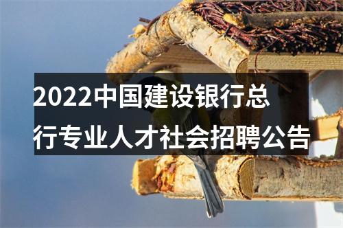 2022中国建设银行总行专业人才社会招聘公告 图片